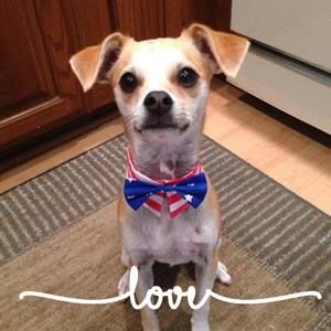 Meet your Posher, Roseann